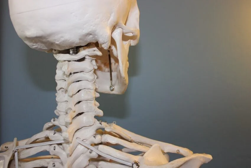 Manual osteopathy care in a professional treatment setting