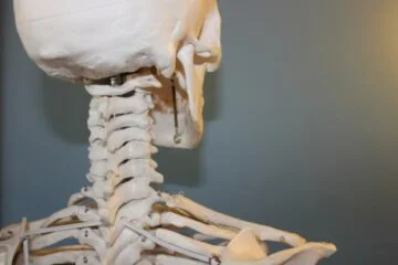 Manual Osteopathy Moncton