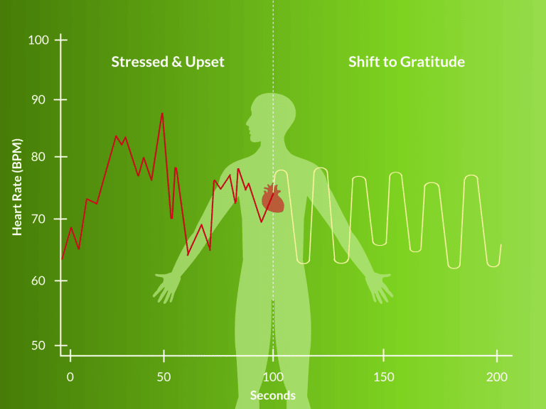 HRV Biofeedback Moncton