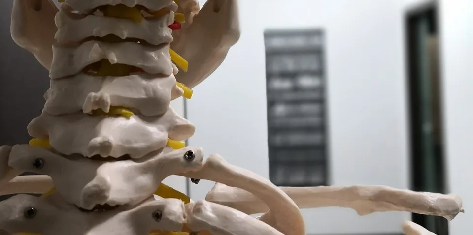 Manual Osteopathy Moncton
