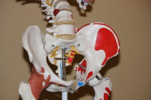 Hip Pain Manual Osteopath Moncton