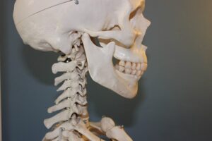 Cranial and Neck Manual Osteopath Moncton